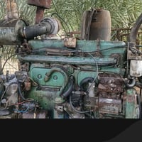 مولد • كامل • ديالى