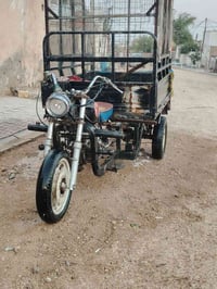 ستوته • بدون اوراق • الديوانيه