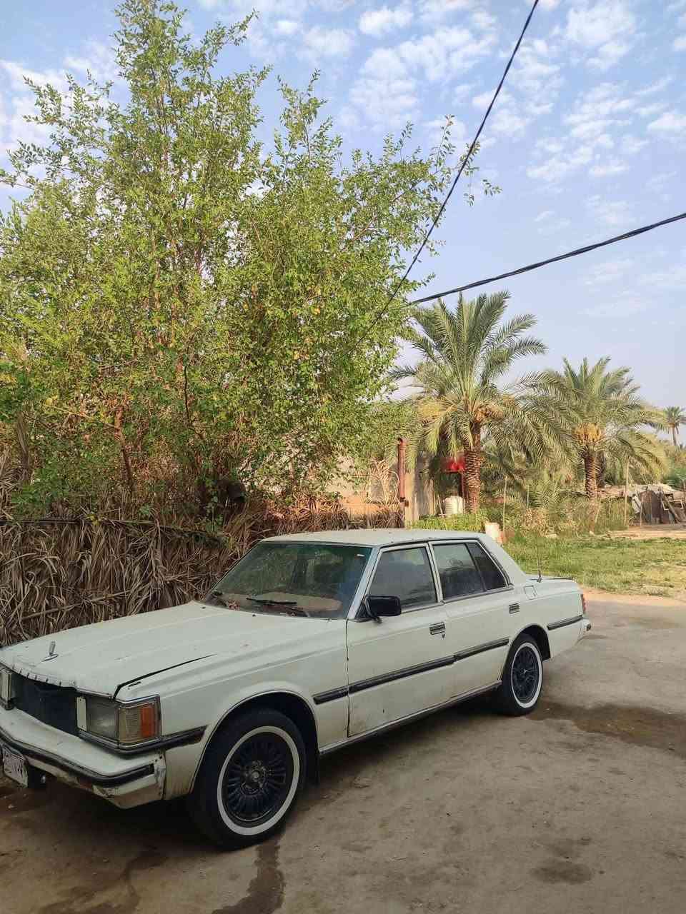 سوبر 82 • ١٩٨٢ • سماوه