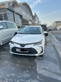 كورلا • ٢٠٢٥ • بغداد