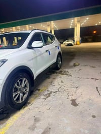 ستنافي • ٢٠١٤ • ٧ راكب