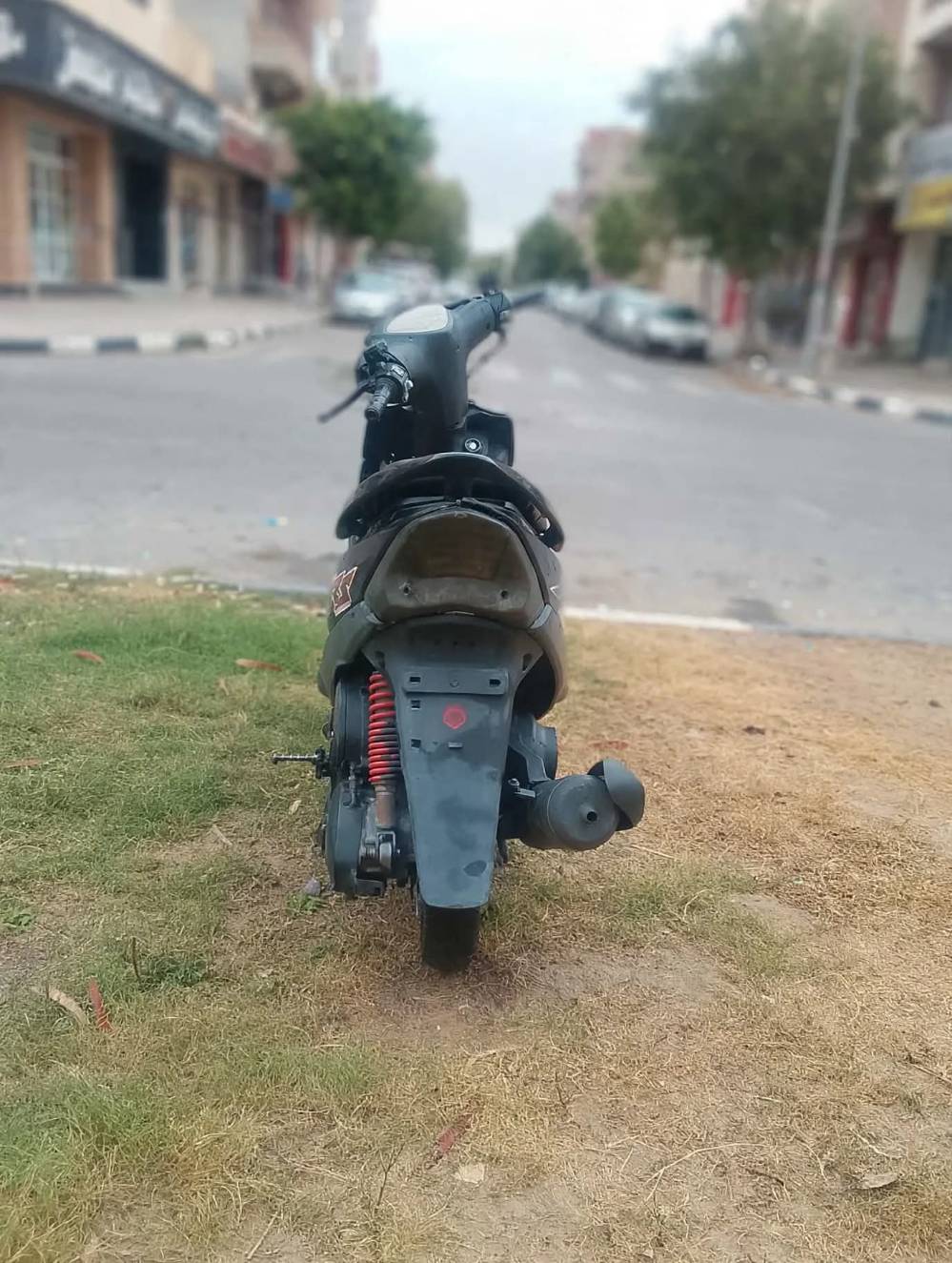 مراوس • بگير