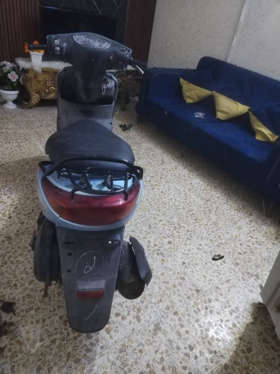 بريز • حديث • لايت عالي
