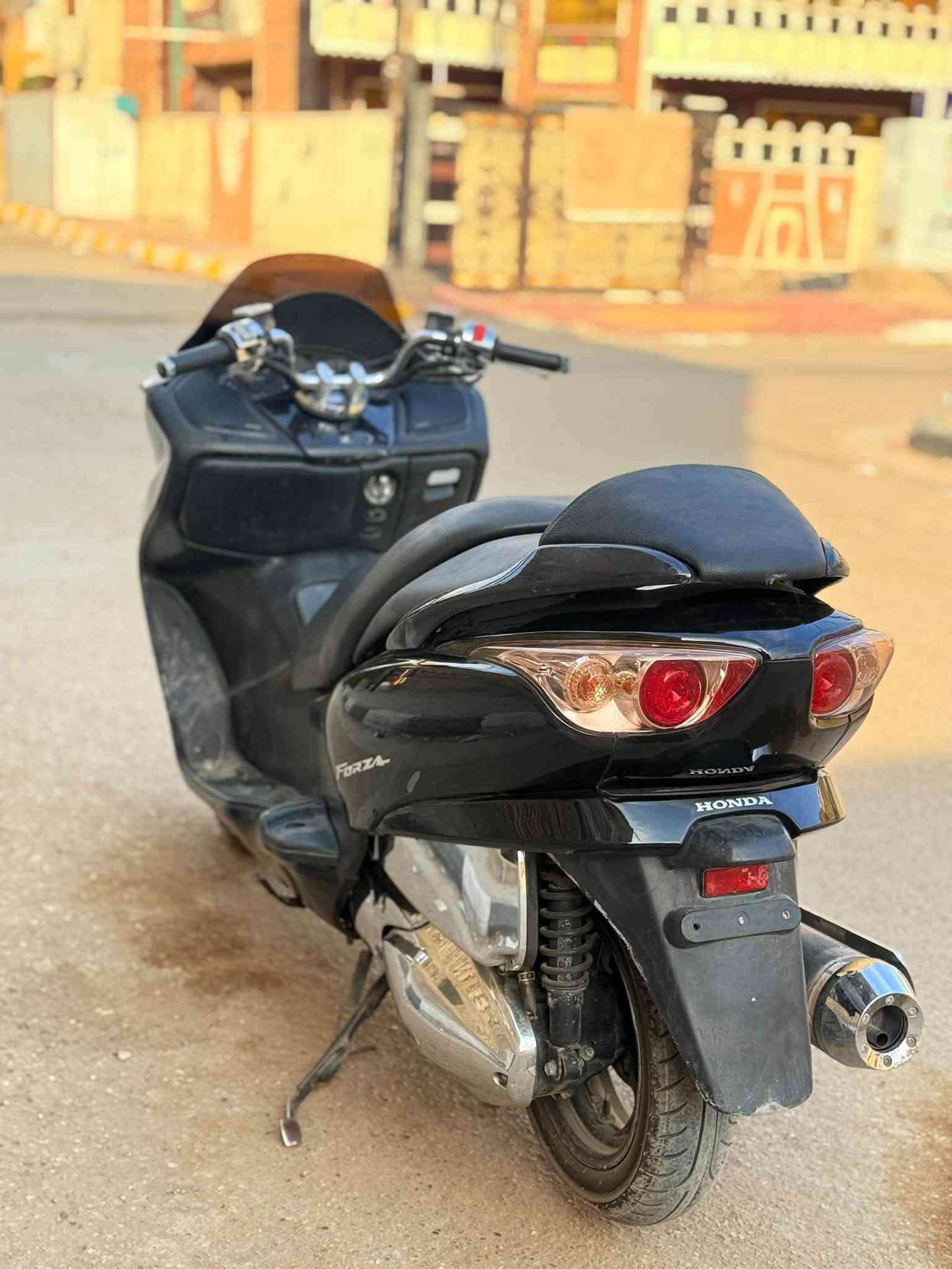 فورزة • ابلدي • زنون