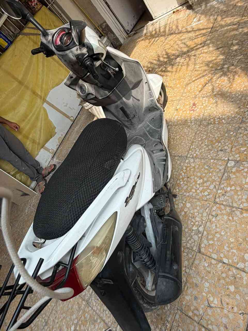 سكنس فحل • كوري • كابريتر