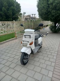 بيكم • فحل • محرك بلادي
