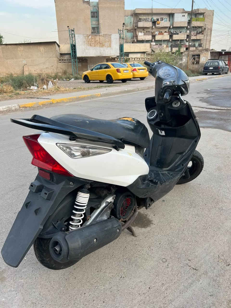 ثعلب • ١٤٠ • مابيه نقص