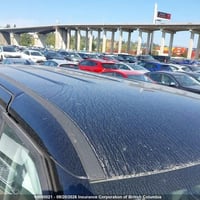 كرنفال ٢٦ وارد كندي مدة وصولها للحرة ٤٥ يوم السعر ١٩٠ أبيعك بالحرة  نص...