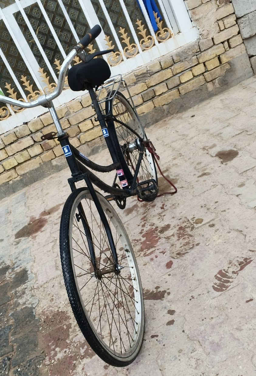باسكل • حجم ٢٦ • الديوانية