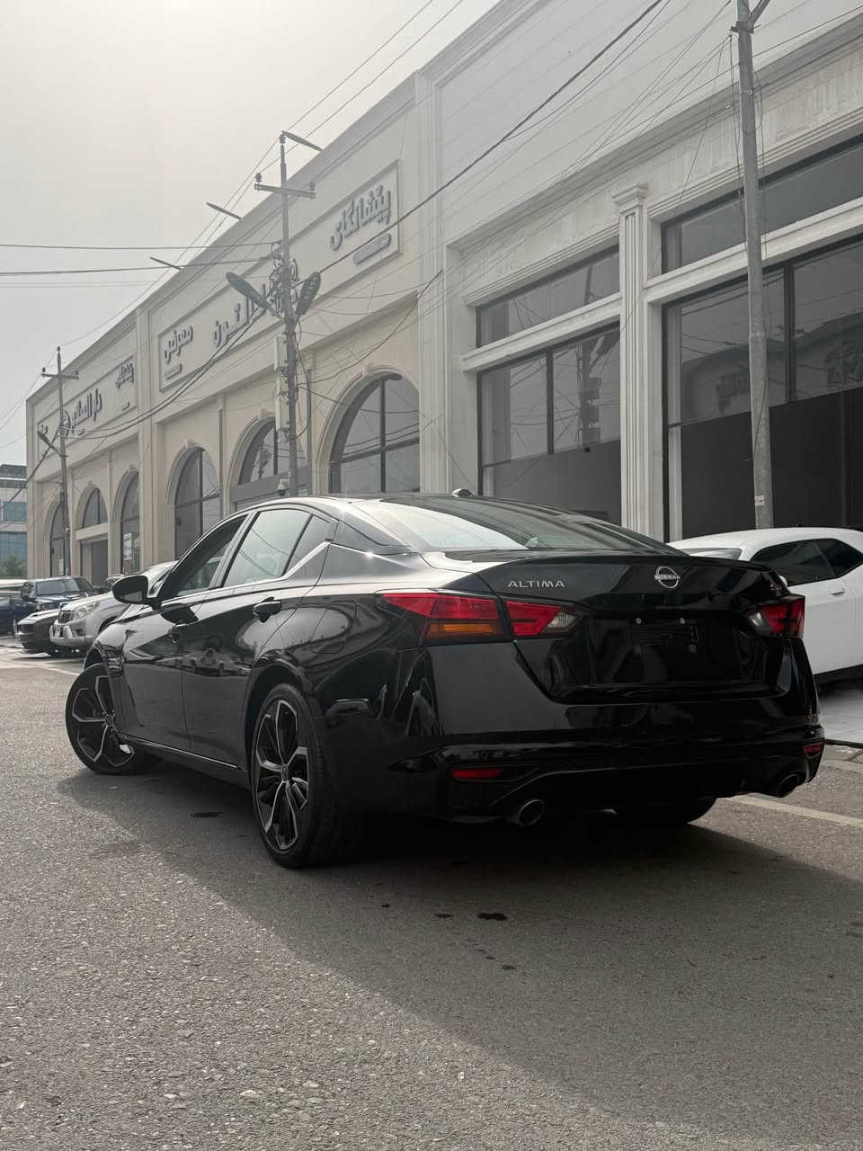 ألتيما SR • ٢٠٢٥ • بدون صبغ
