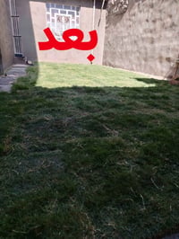 بستنة • خدمات • حدائق
