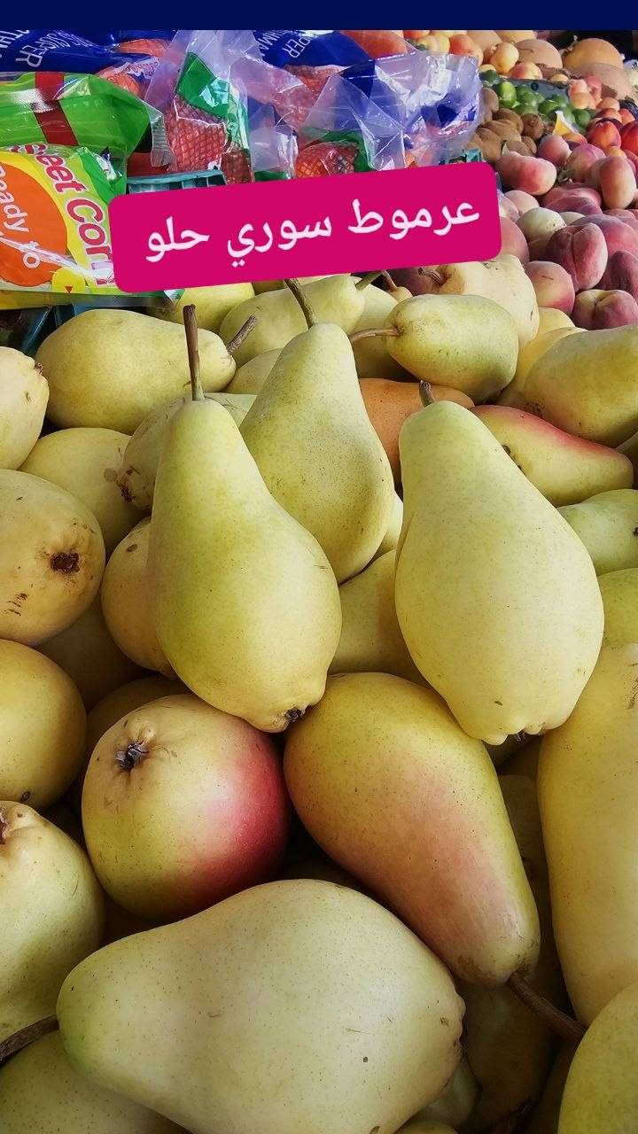 تكريت القادسية • توصيل • سفرجل