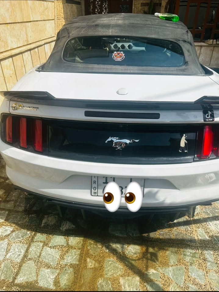 موستنك • ٢٠١٥ • رقم بغداد