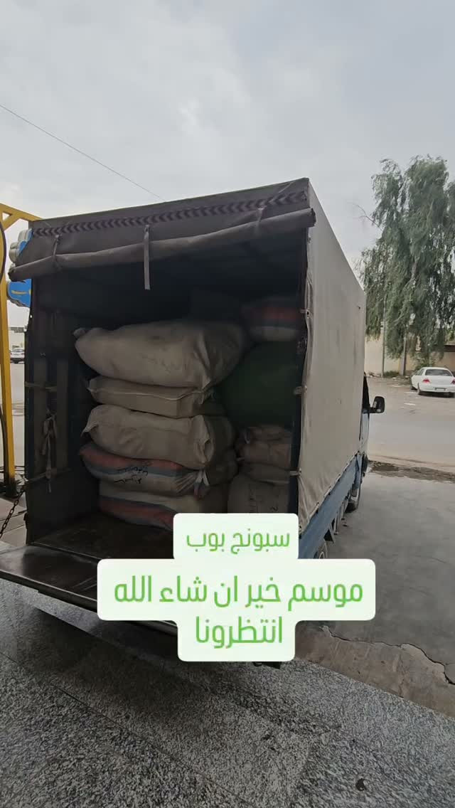 سبونج بوب • ملابس اطفال • شتاء ٢٠٢٦/٢٠٢٧