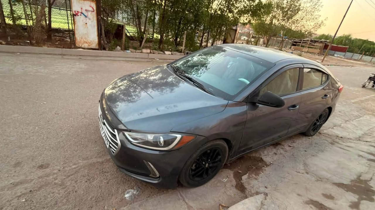 النترا • ٢٠١٨ • وراد امريكي