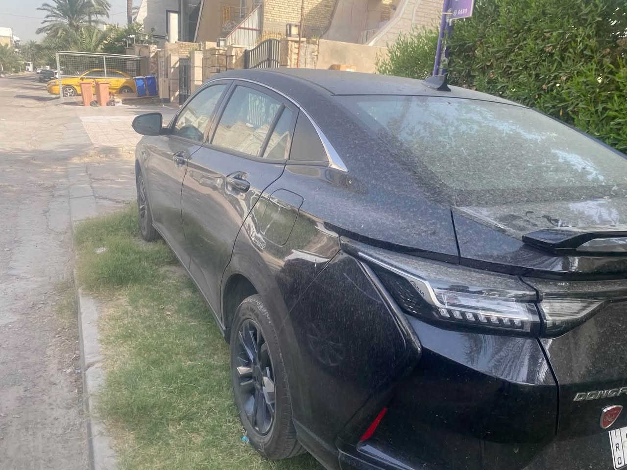 دونك فينك • ٢٠٢٤ • ٥٠ الف