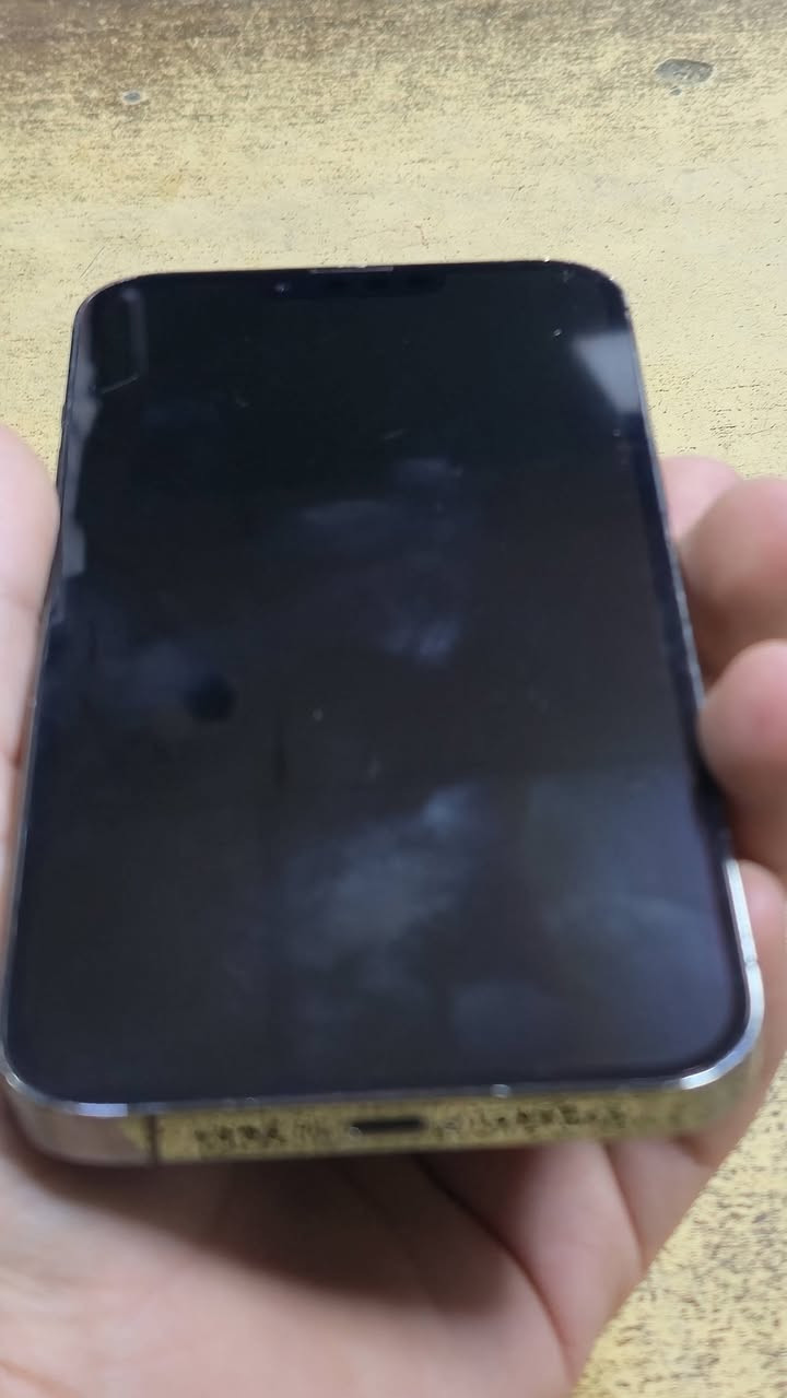 سلام عليكم...
​✨ iPhone 13 Pro Max - للبيع ✨
​اللون: [اسود بحت]
​الذاكرة: [256GB]
​نسبة البطارية: [% 87] اصل وكاله
​ والنظافة [75%]
 نوعيه ​الجهاز امريكي شريحتين وحده ذايته وحده سيم   
📞 للتواصل: [ ***********] 
متوفر فقط واتس اب او اتصال
