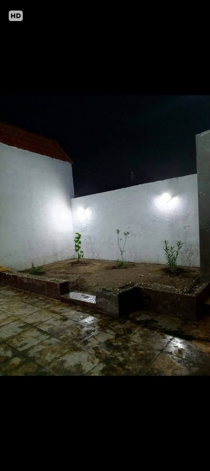 نزلة سيد عودة • ١٢٠م • سند ٢٥