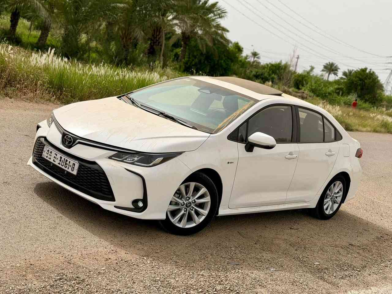 كورلا هايبرد • زيرو • مشيه ٢٠٠٠