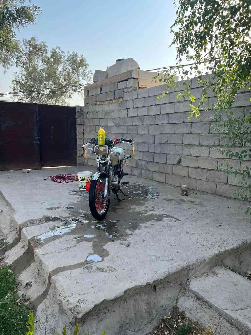 دراجه تايكر 25محرك أوراق  كفاله بيه نواقص بسيطه 
مكانها الحديد
