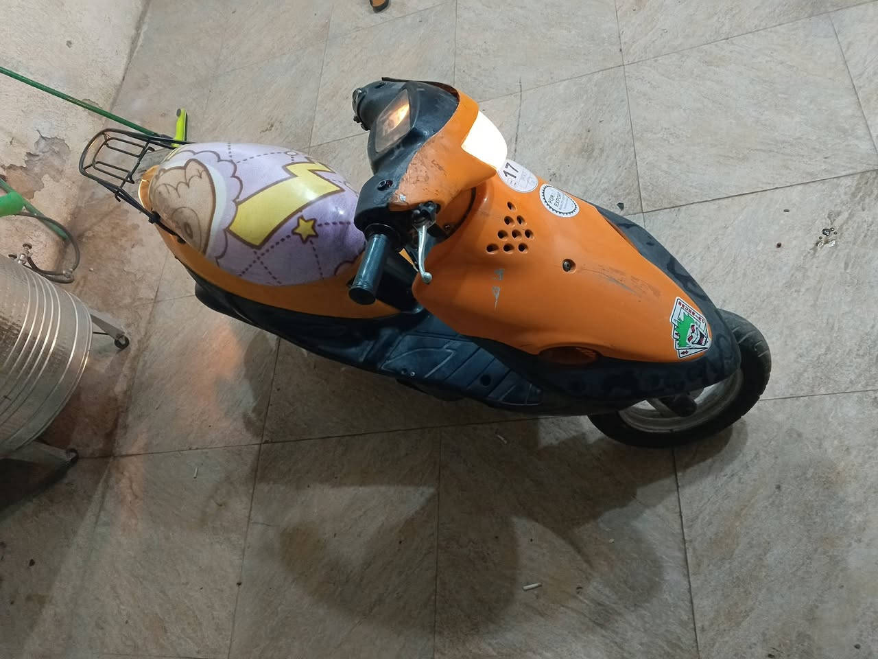 بيجي • شغاله • كوت داموك