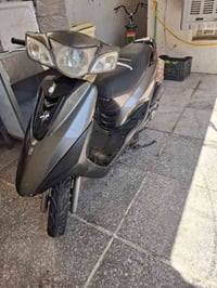 ببغاء • مكفول • تايرات جدد