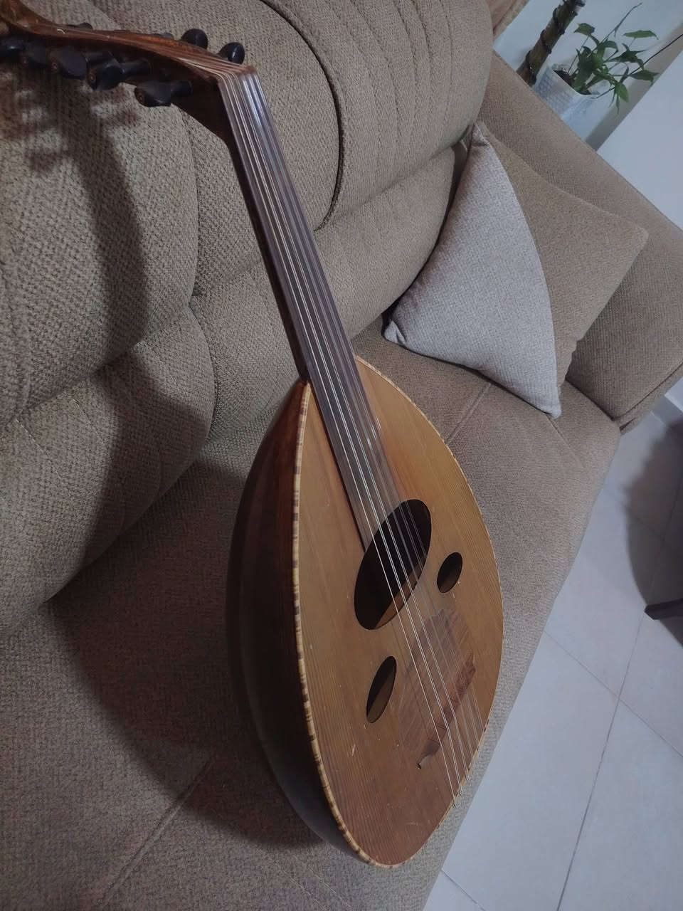 عود عراقي • وجه سيدار • مفاتيح ابنوس