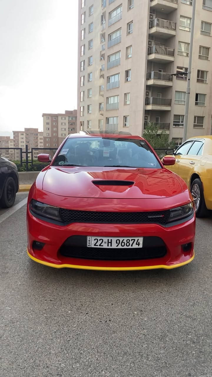 جارجرgt
خليجي هارلم  21 كفاله عام 
السعر 310 
***********
