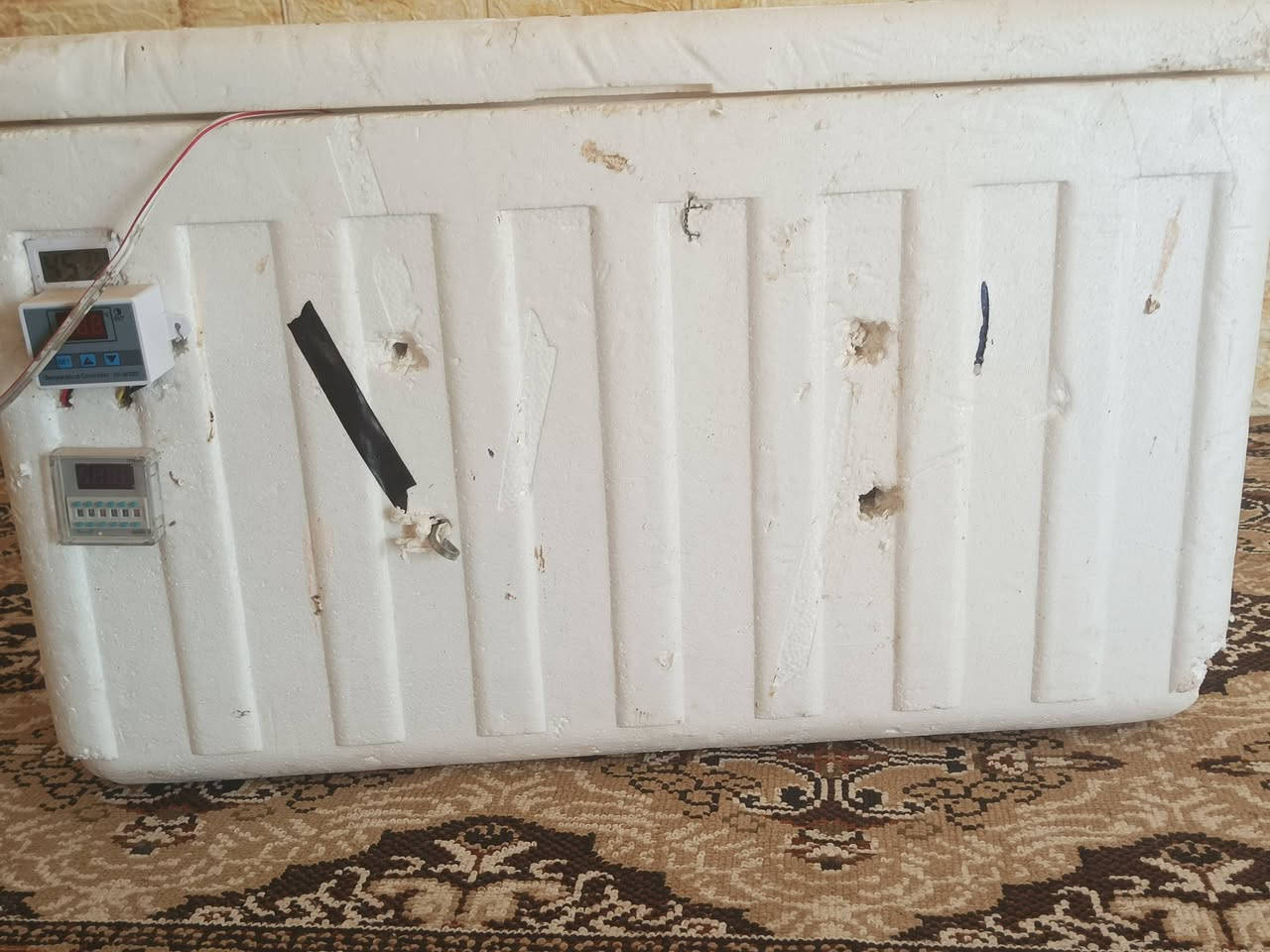 سلام عليكم فقاسه للبيع فلين تفقيسهة خير من الله وتقليبهة  اوتماتيك بعدهة جديده ***********
