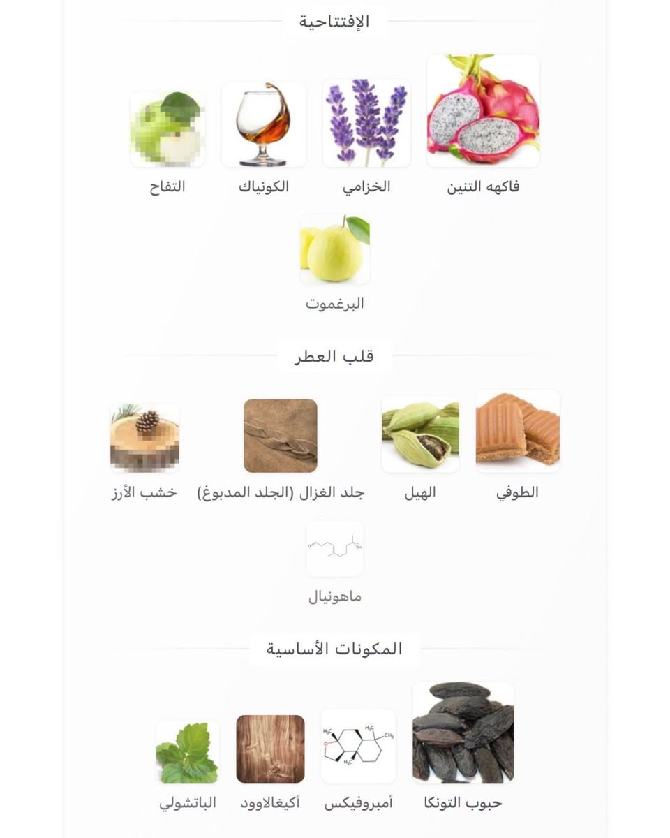 ناين نايت اوت • افنان • للرجال