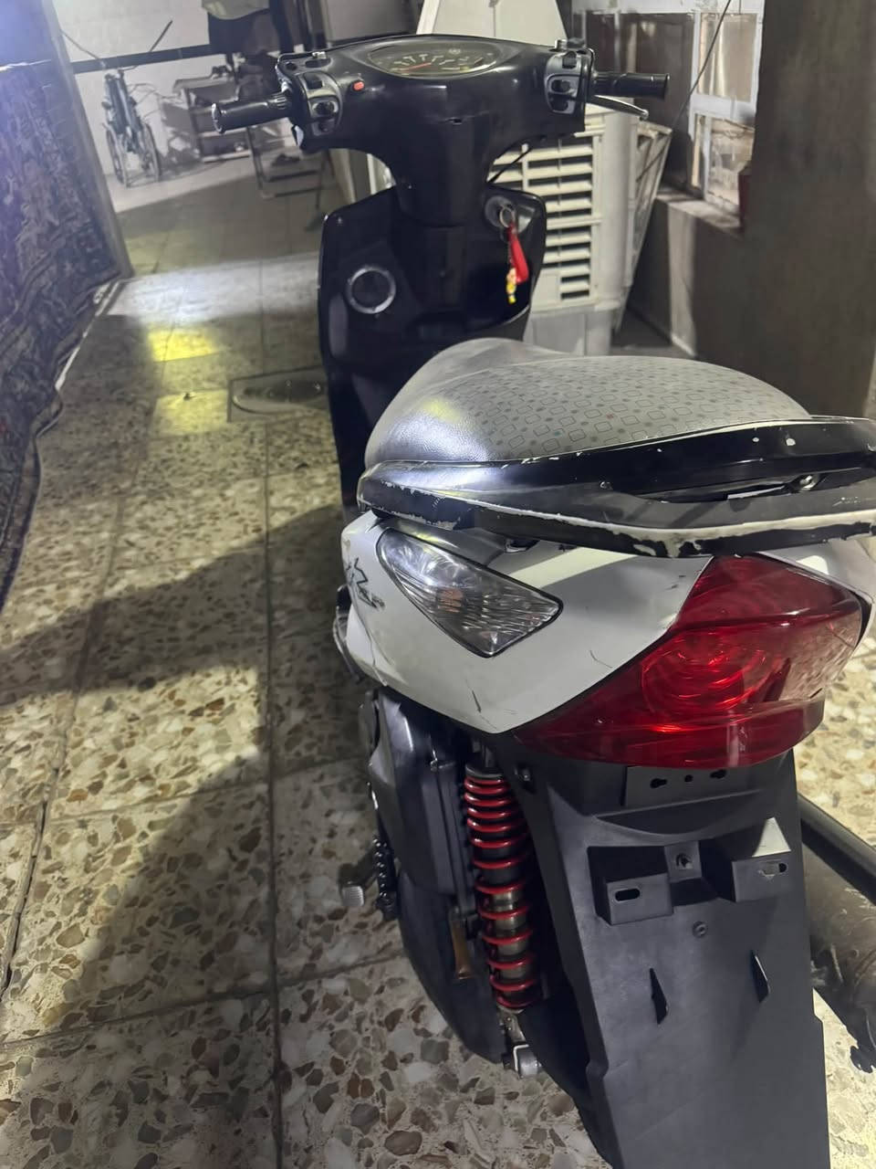 ماكس ثعلب • تايرات جدد • دبلات جدد