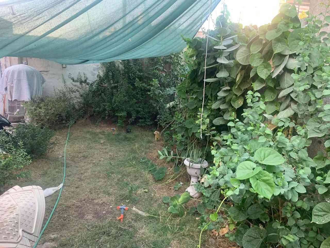 بيت للبيع اسكندريه حي ناصر اول شارع مساحه ٢٠٠متر للبيع لتفاصيل أكثر اتصل على ‏‪***********‬‏. @الجميع
