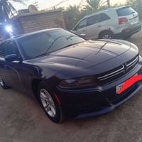 جاجر • ٢٠١٦ • نص فول