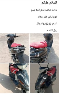 فراشة فحل • ١٤٠ • مكفوله