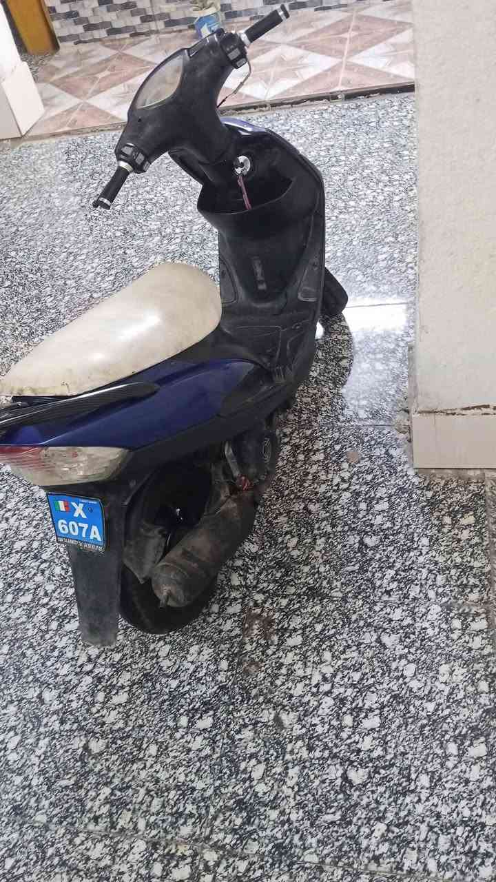 ماكس عدلة • كهربائية • سلف عوزه