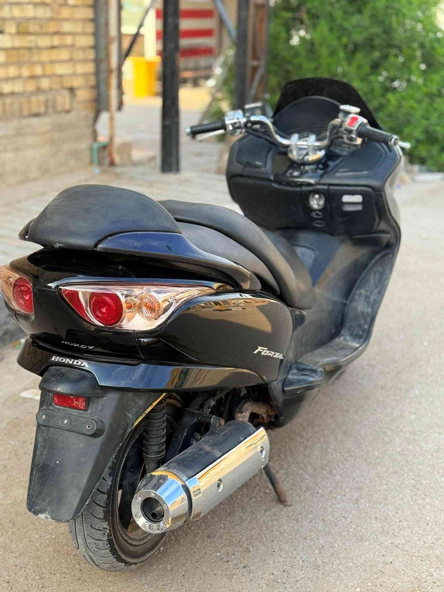 فورزة • ابلدي • زنون