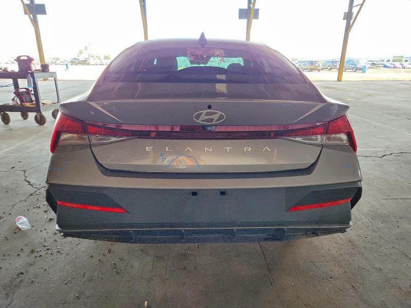 النترا • ٢٠٢٤ • تخريج شهداء