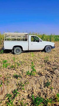 بيك اب • نيسان ٨٨ • رقم ديالى