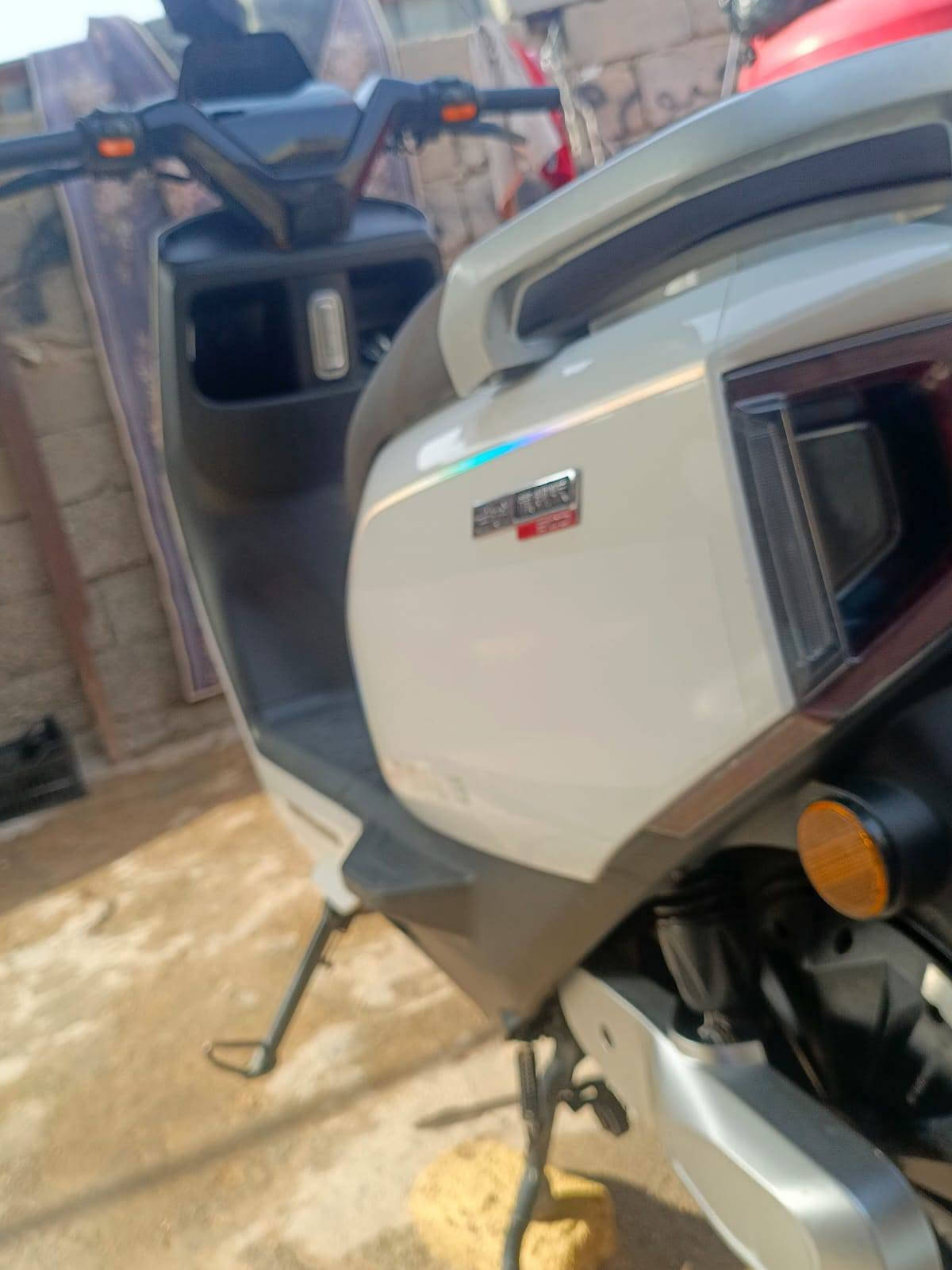 دراجة شحن • تالج F_71 ٢٠٢٥ • بطاريات نص عمر