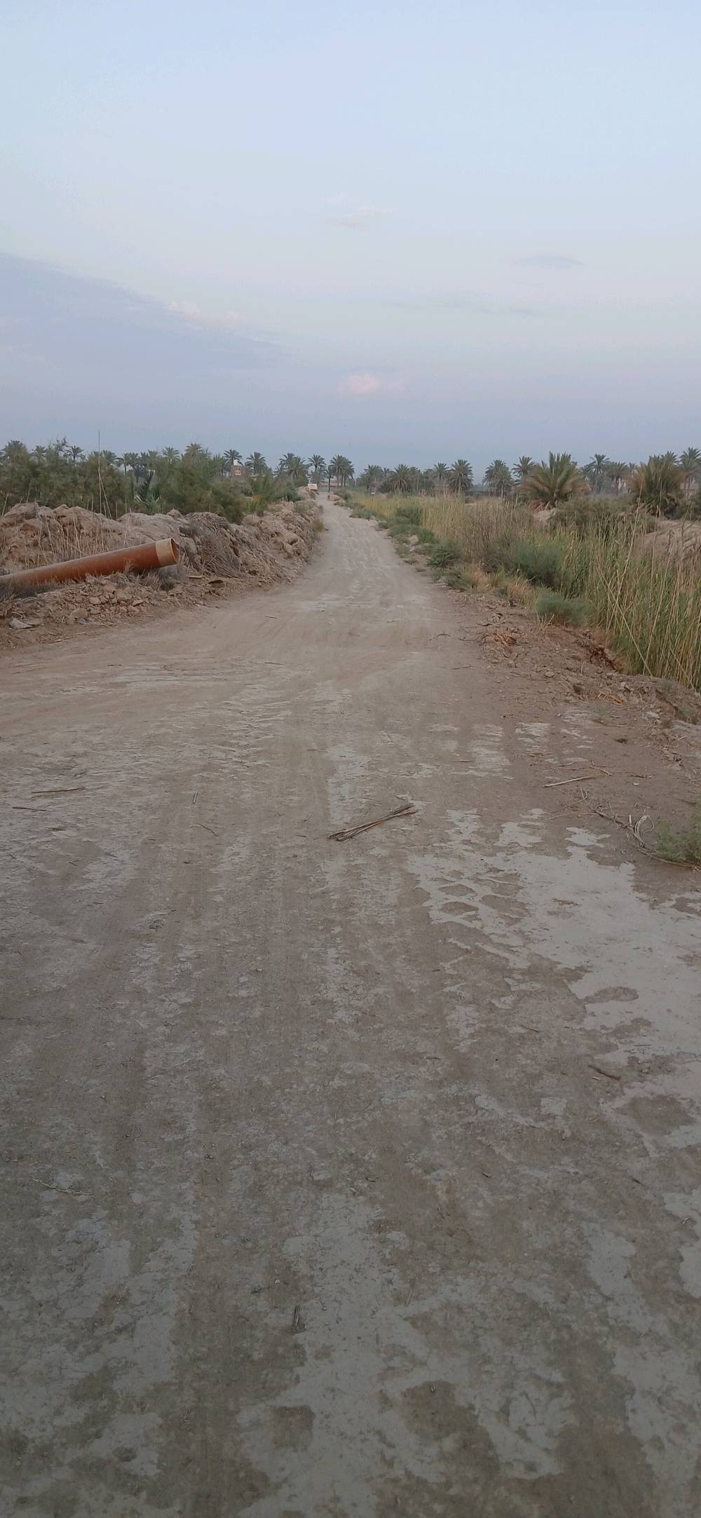 دونم • سند 25 • بئر شغال