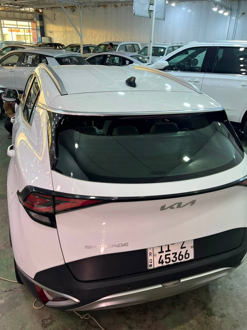 سبورتج 2025 خليجي
فول ما عده البنوراما
ويل 19 
داخل بيجي
مكينة وكير كفالة عامة
رايدها ب 212$ وبيها مجال بسيط 
مكاني بغداد 
***********
