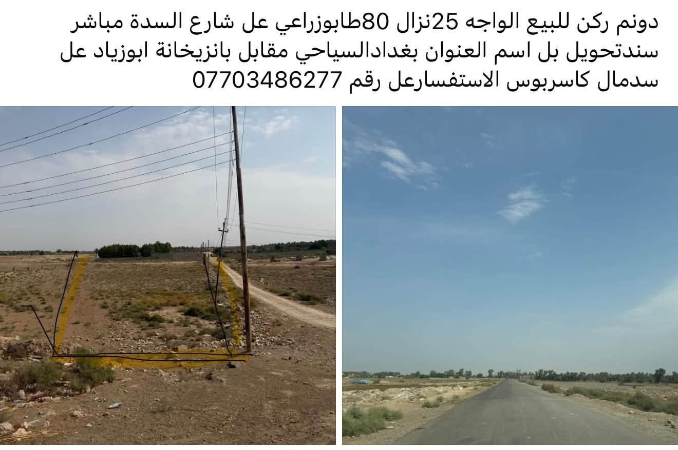 دونم ركن • واجهه ٢٥ • طابو زراعي
