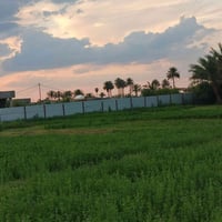 اليوسفية بغداد • ٤ دوانم • طابو زراعي