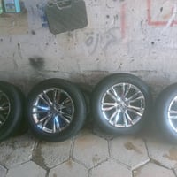 ويل مكسيكي للبيع رقم الهاتف 07729516365