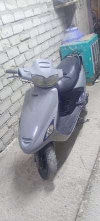 فراشه • فحل • النجف