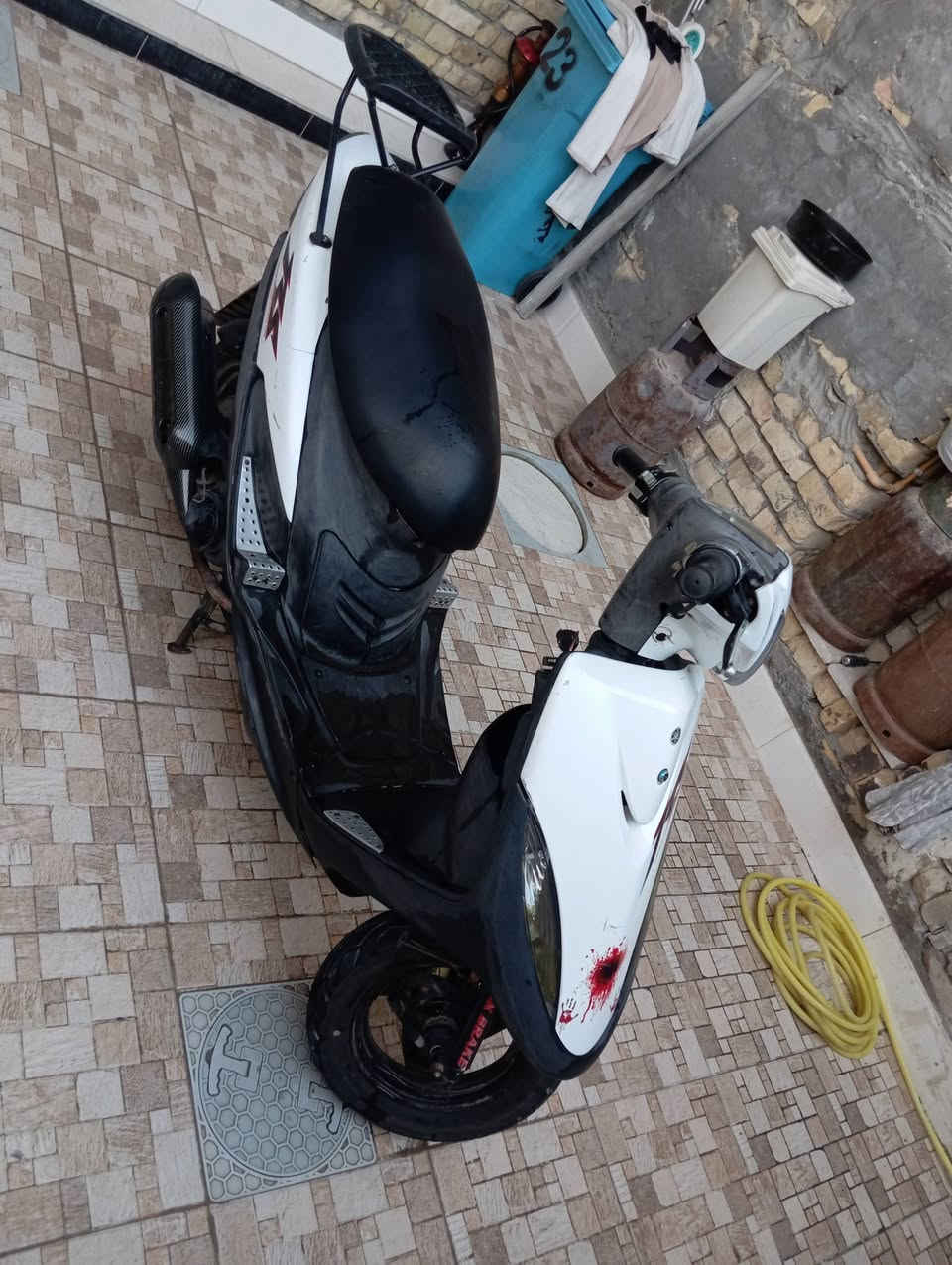 ماكس • ناشفه • بلاديه