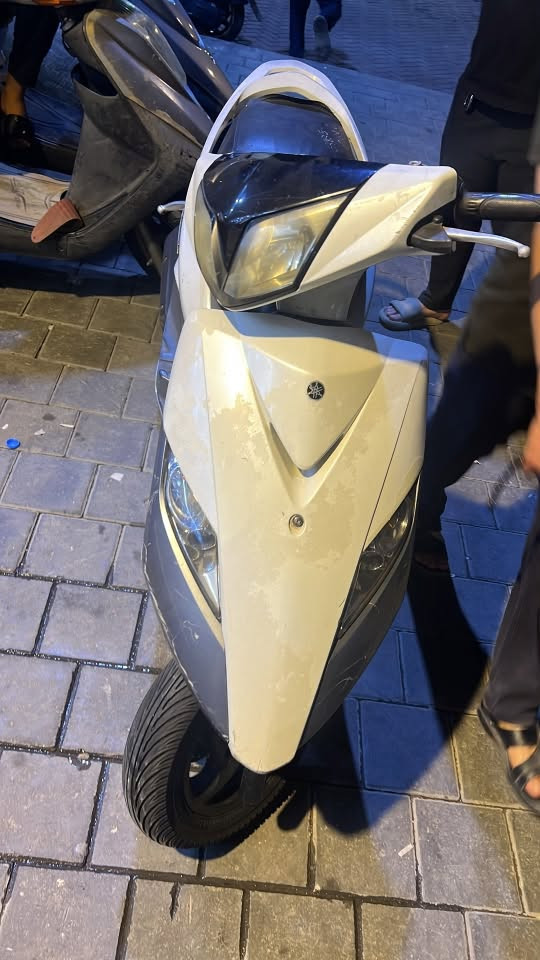 ثعلب • نظيفه • قبل اسبوع
