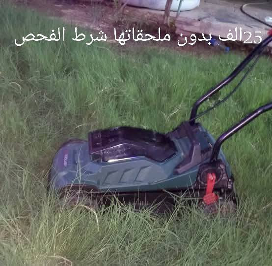 شرط بلاد وشغل ***********
