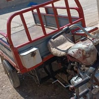 ستوته • شغال • سنويه