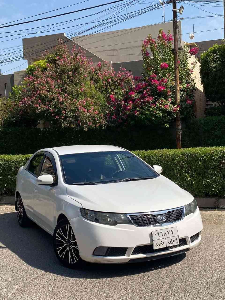 سيراتو خليجي موديل ٢٠١٠ رقم دهوك حجم المحرك 16دوش المرغوب..كير اوتماتيك اي تي المرغوب .. تبريد ثلج قفل مركزي ريمون..جامات كهرب..حساسات خلفيه..داخل لونين..خمسه ويل كب..طخم تأثيرات وباتري وكهريائيات جديد..اي مصرف مااعوزه بشرط سياره جاهزه..بيها صبغ جاملو الامامي وباب الامامي جهت النفر...السعر ( ٨٤ ) .. العنوان موصل الايسر حي المزارع قريب على حي البعث..فرع جامع القادر.. ( *********** ) ... يوجد واتساب برقم الاسيا لانراسلني خاص ماارد...( *********** )

